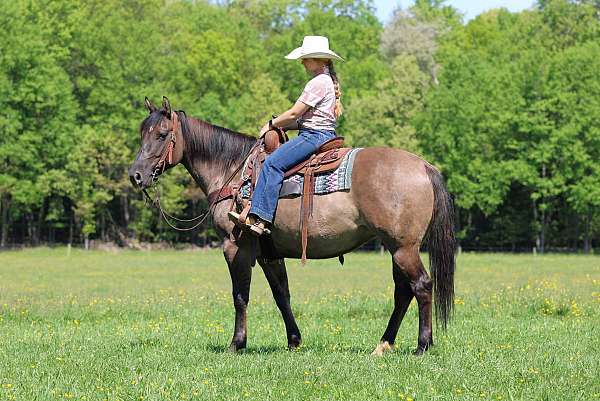 ranch-quarter-horse