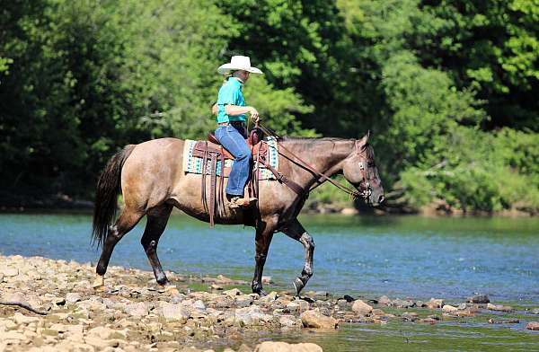 roping-quarter-horse