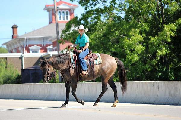 trail-riding-quarter-horse