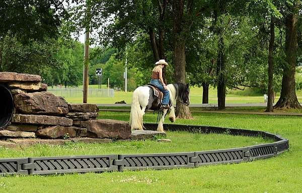 husband-safe-gypsy-vanner-horse