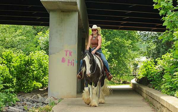 ranch-gypsy-vanner-horse