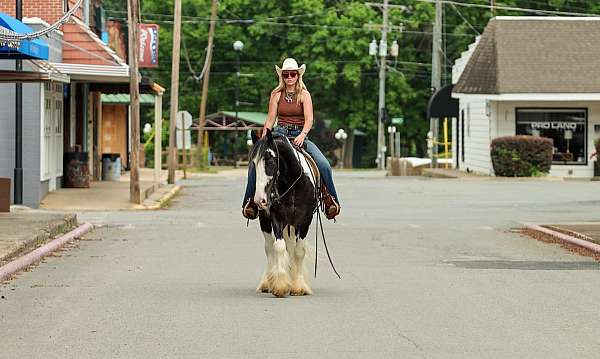 show-gypsy-vanner-horse
