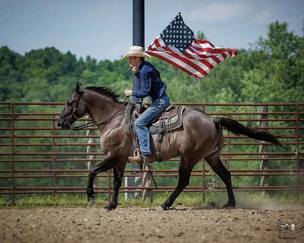 kid-safe-quarter-horse