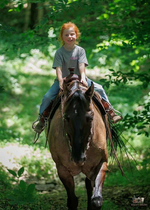 ranch-work-quarter-horse