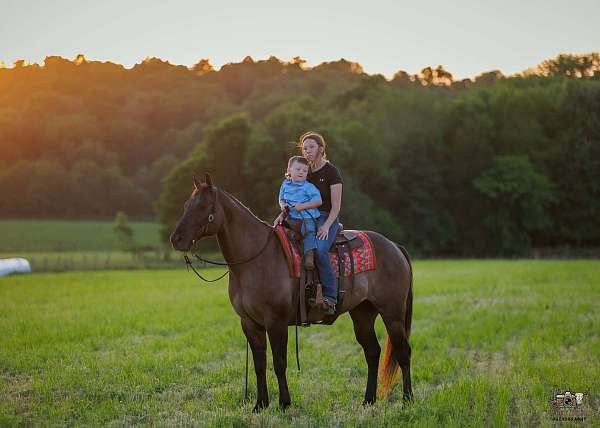 roping-quarter-horse