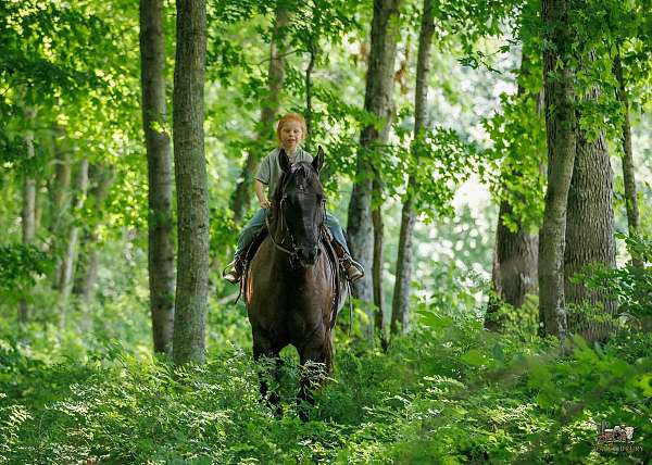 trail-riding-quarter-horse