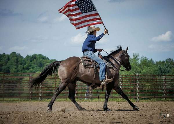 youth-quarter-horse
