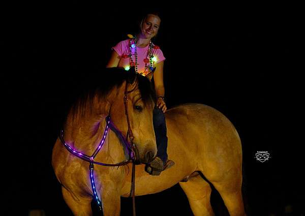 trail-riding-friesian-pony