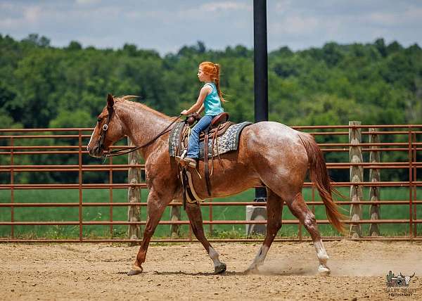 ranch-work-draft-horse