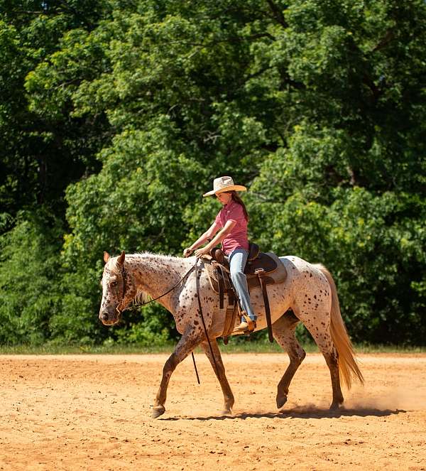 kid-safe-poa-horse