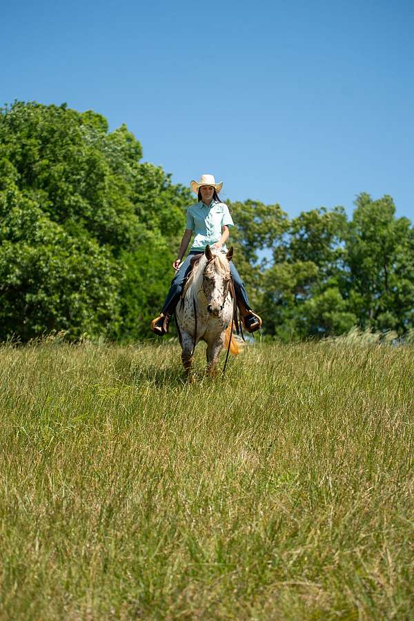 ranch-work-poa-horse