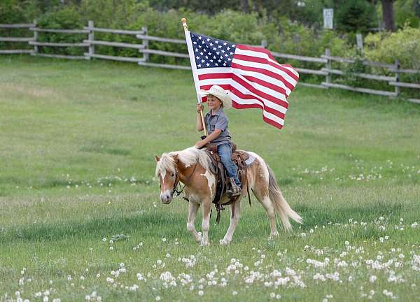 ranch-poa-pony