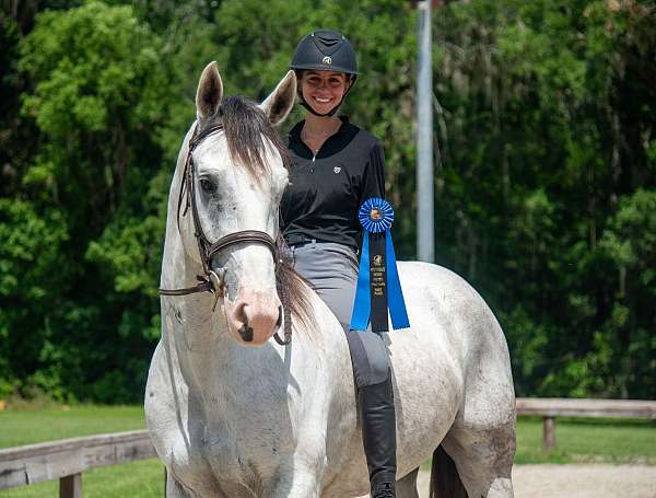 athletic-draft-horse
