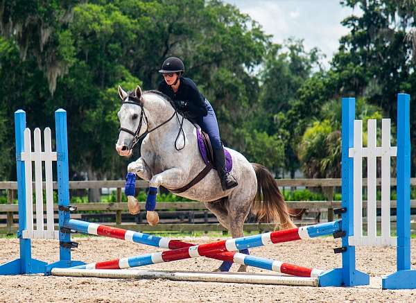 flashy-draft-horse