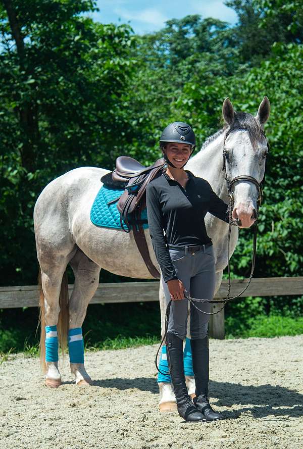 kid-safe-draft-horse