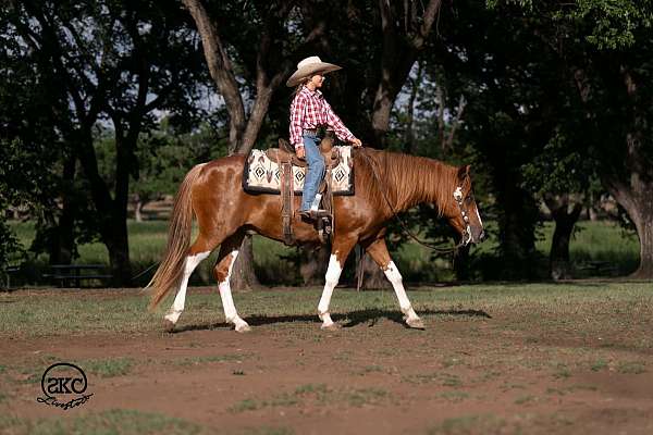 flashy-paint-pony