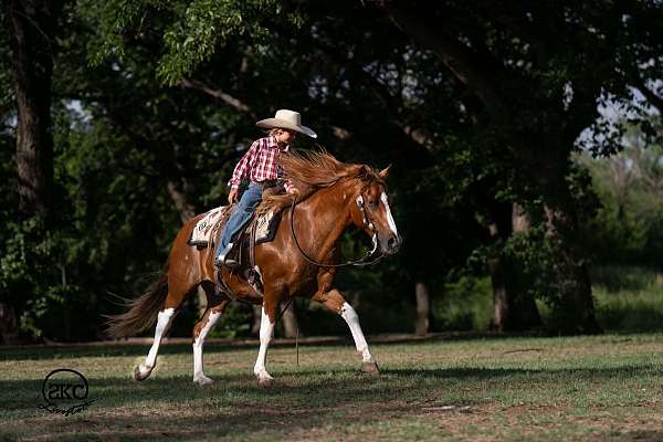 kid-safe-paint-pony