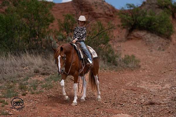 ranch-paint-pony