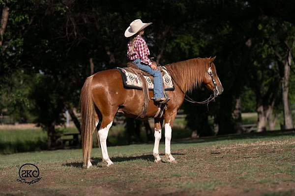 roping-paint-pony