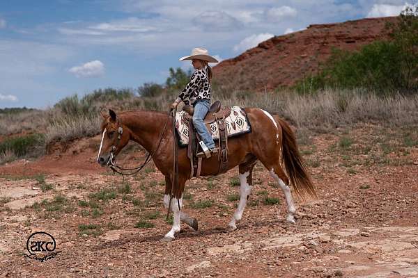 trail-riding-paint-pony