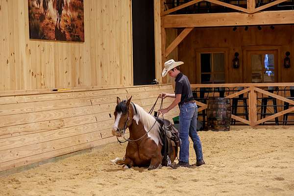 cross-draft-horse