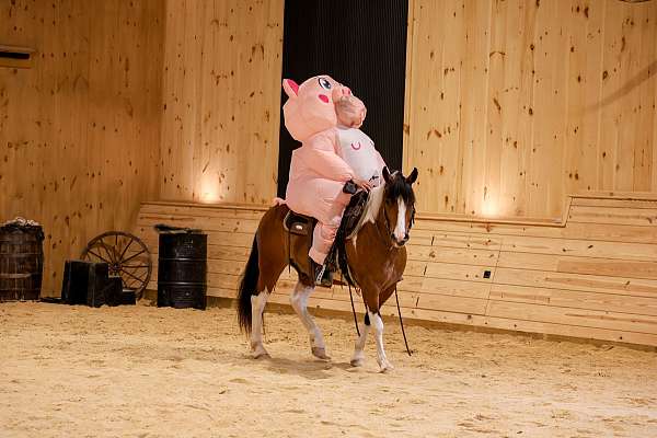 flashy-draft-horse