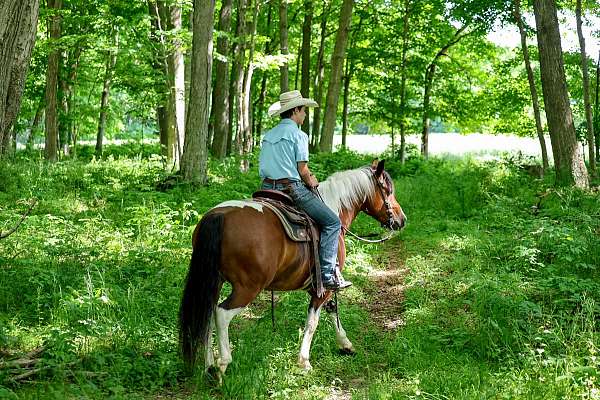 jumping-draft-horse
