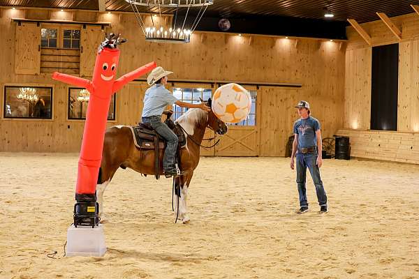 ridden-western-draft-horse