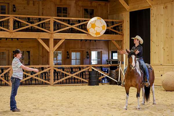 youth-draft-horse