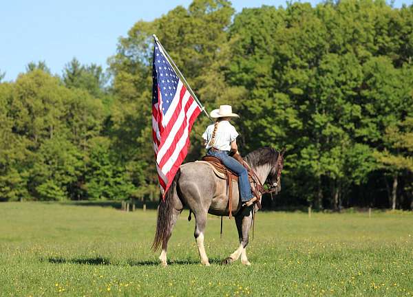 blue-roan-youth-horse