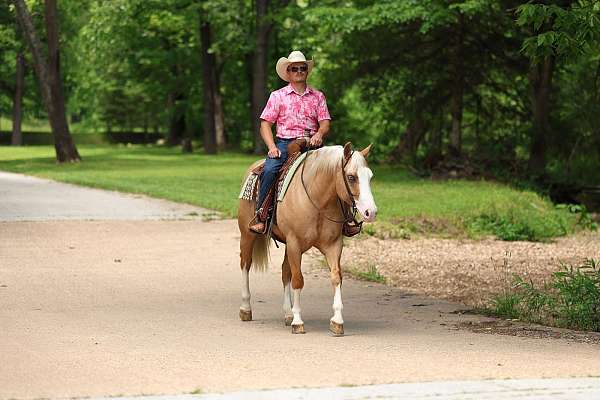 athletic-quarter-horse