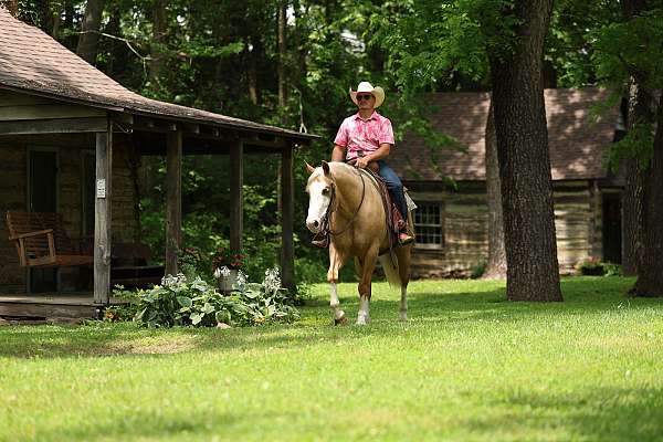 calf-roping-quarter-horse