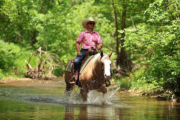 flashy-quarter-horse