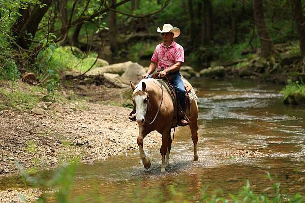 ranch-quarter-horse