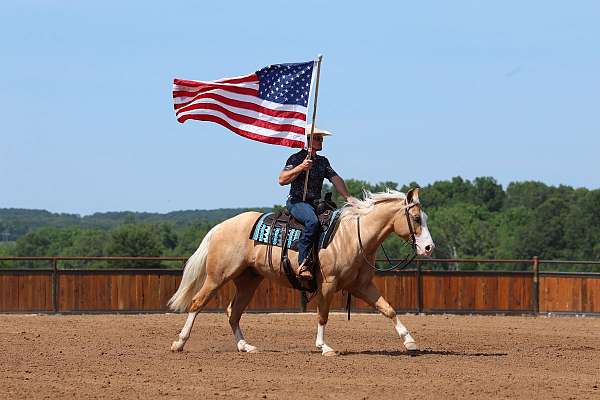 ranch-versatility-quarter-horse