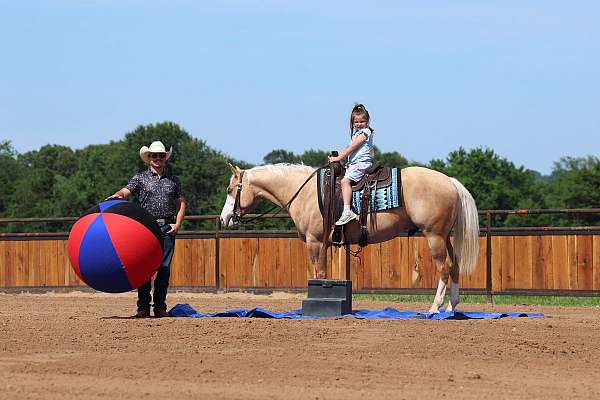 ranch-work-quarter-horse