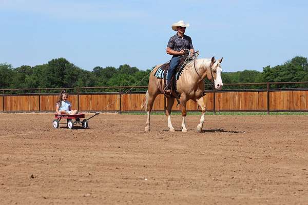 reined-cow-quarter-horse