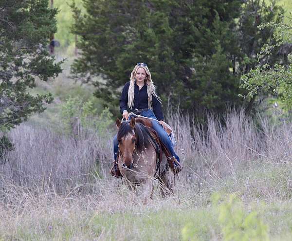 flashy-quarter-horse
