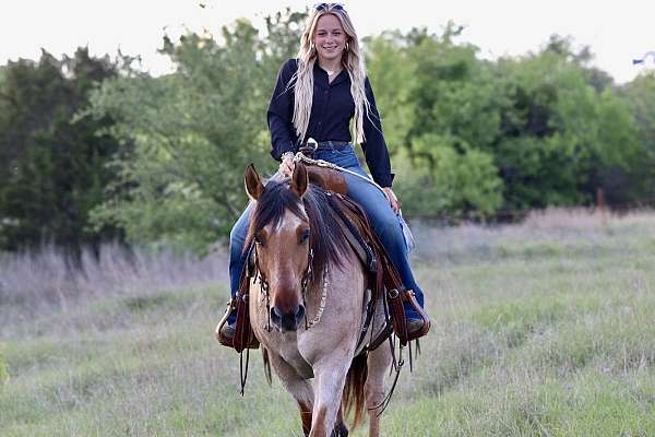 kid-safe-quarter-horse