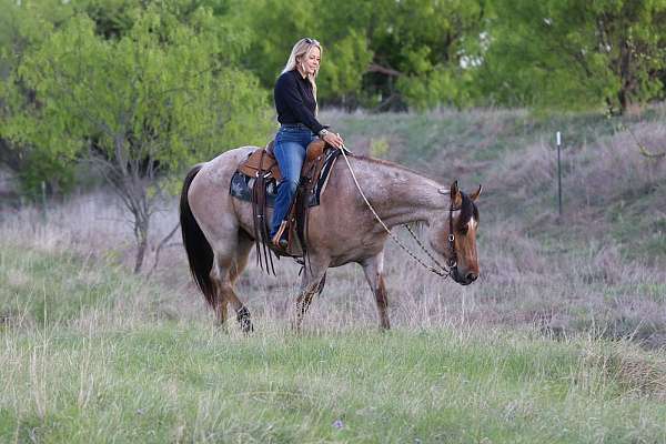 ranch-work-quarter-horse