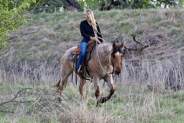 roping-quarter-horse