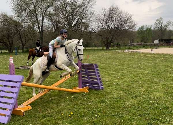 mustang-pony