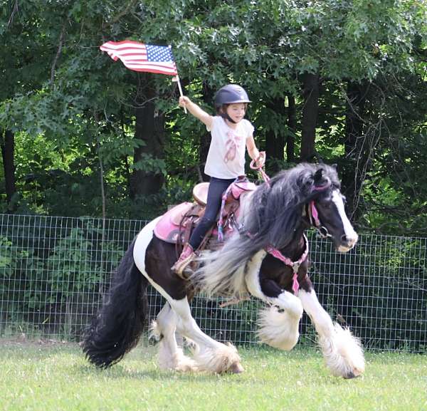 cloud-gypsy-vanner-horse