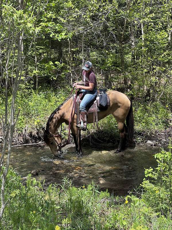 best-friend-mustang-horse