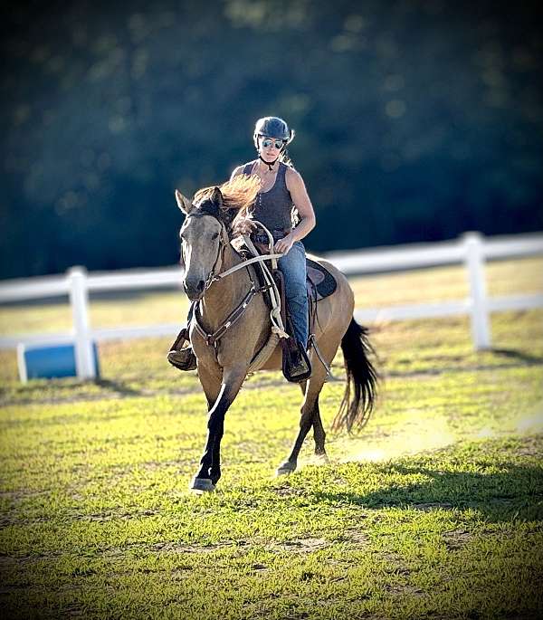 body-control-mustang-horse