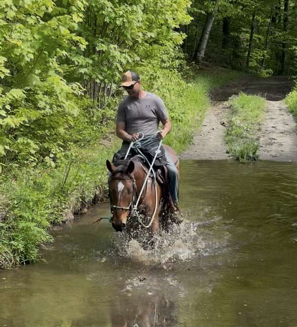 archery-mustang-horse