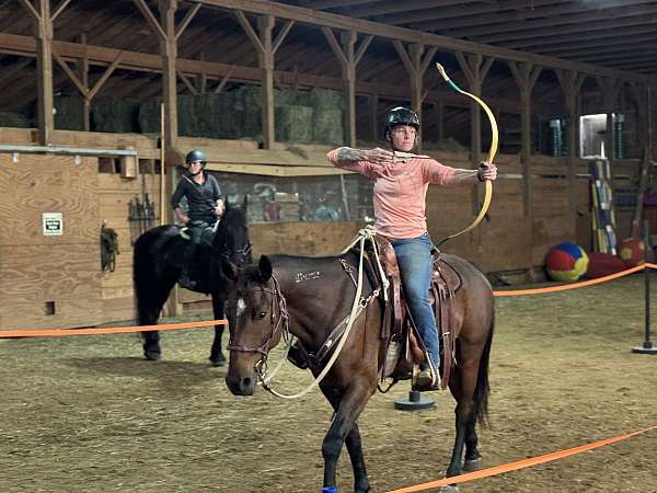 attitude-mustang-horse