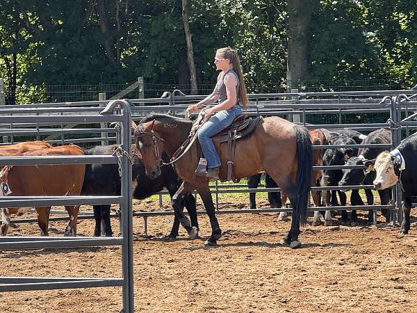 cash-mustang-horse