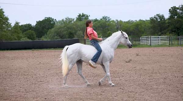 kid-safe-pony
