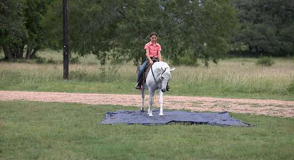 ranch-work-pony